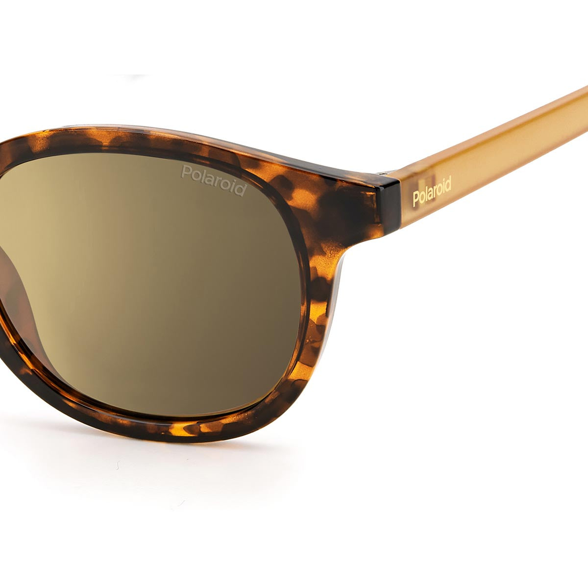 Okulary Polaroid PLD 2096/S 086 LM Okulary przeciwsłoneczne Shogla.com