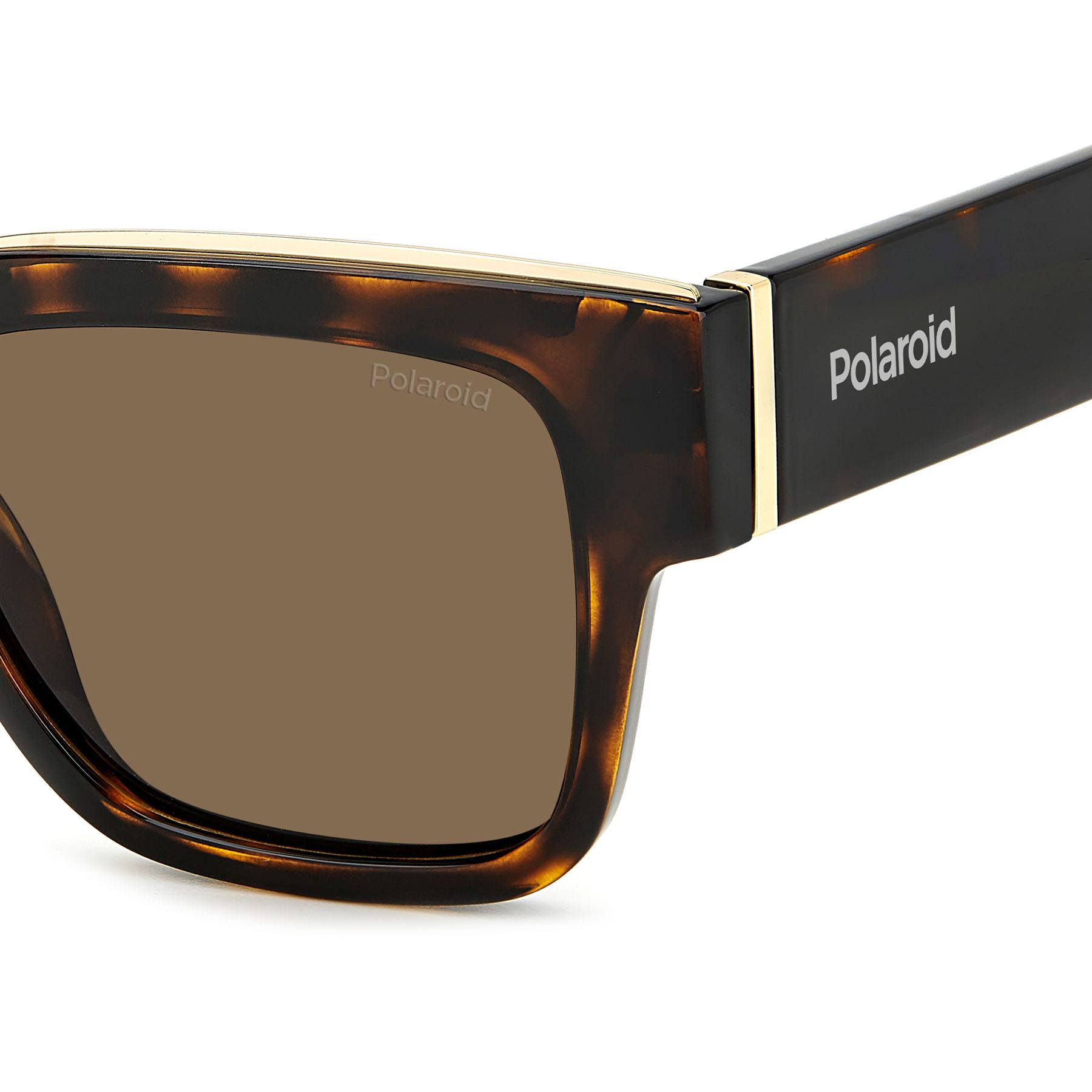Okulary Polaroid PLD 6198/S 086 SP Shogla.com